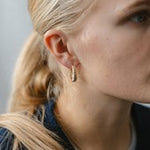 Load image into Gallery viewer, Chasm Hoops
