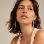 Load image into Gallery viewer, Averie Crystal Earrings
