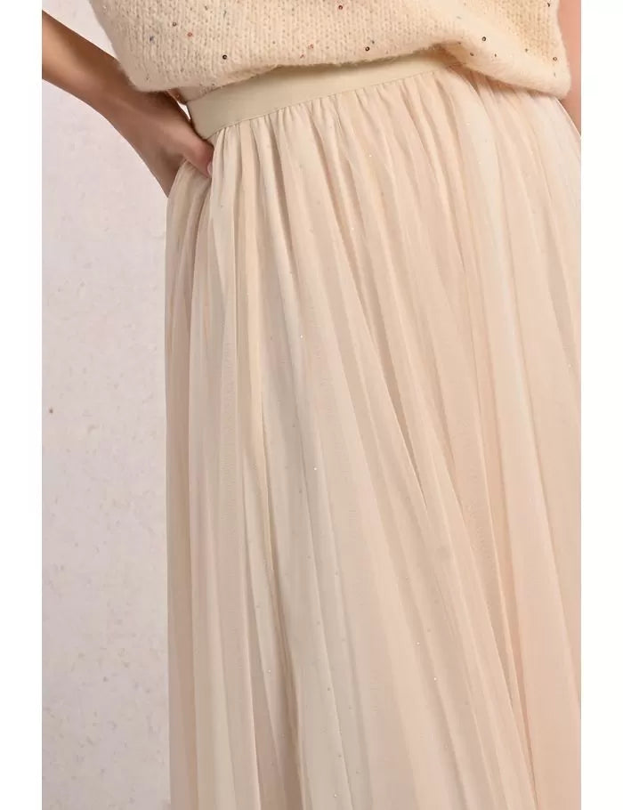 Tulle Skirt